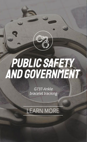 Public safety and government